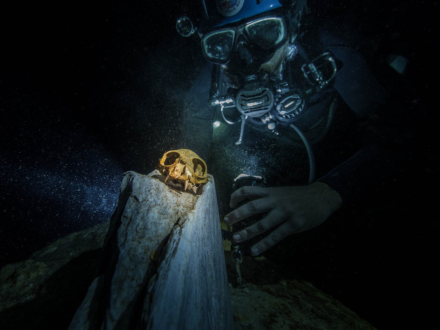 Cave Divers Unlock Secrets Of Our Past Common Science